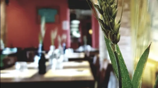 Tamburo Battente Osteria restaurant in Castelbellino