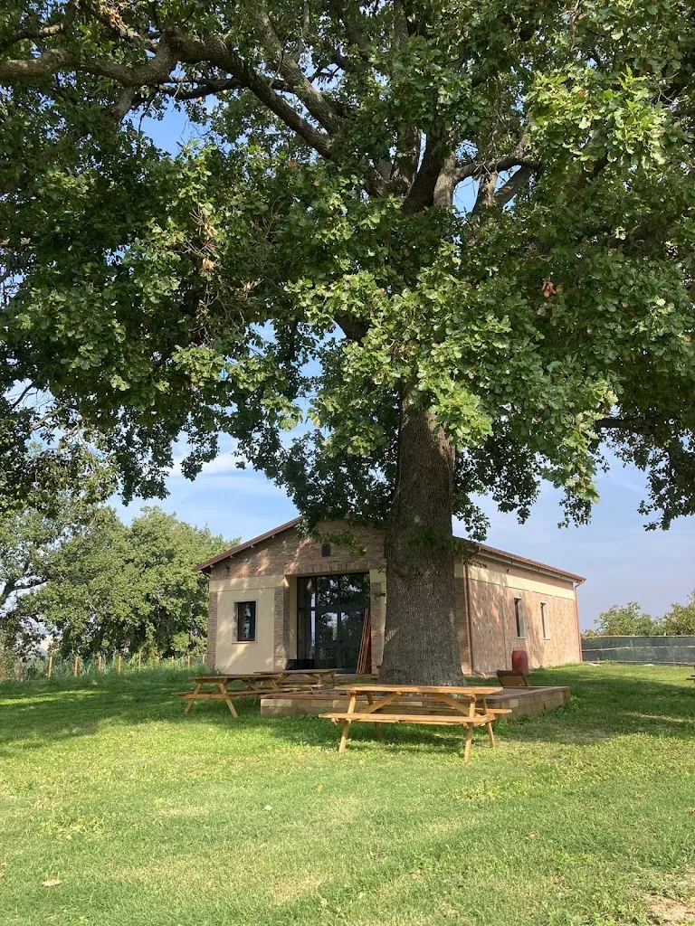 Agriturismo Terre Antiche_Castelleone di Suasa_slider_image_2