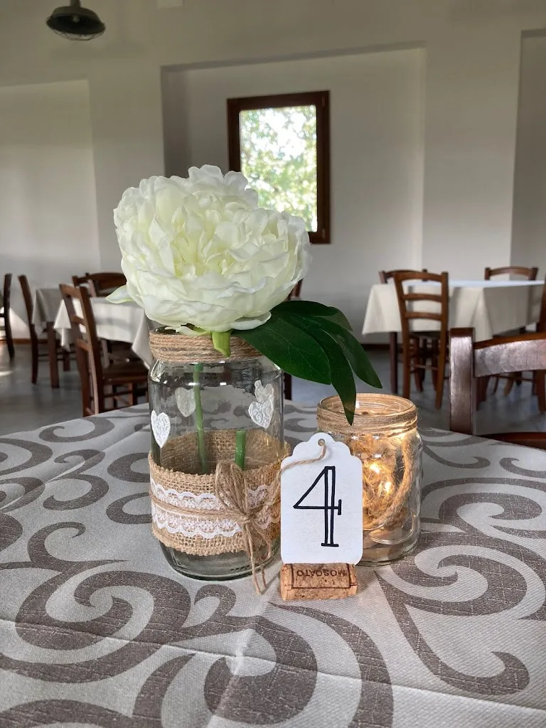 Agriturismo Terre Antiche_Castelleone di Suasa_slider_image_3