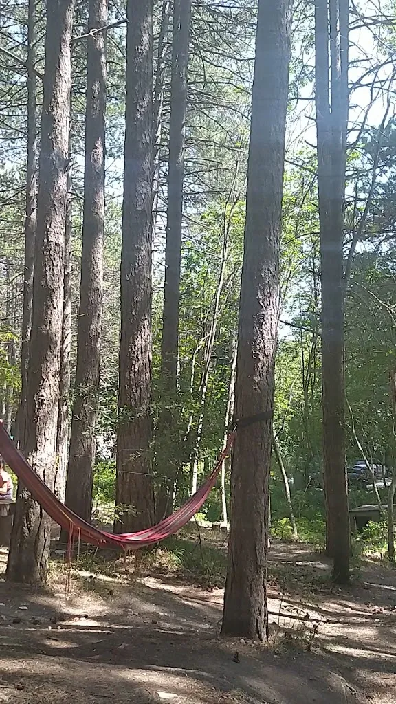 Camping il Cippo_Carpegna_slider_image_2