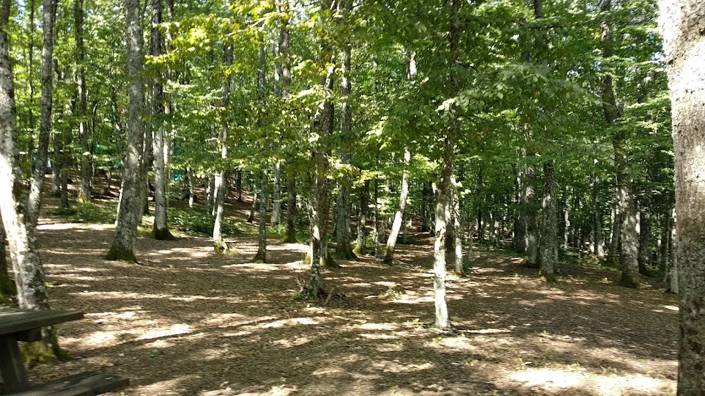 Paolo Treu_Carpegna Park - Family Adventure Mountain_Carpegna_review