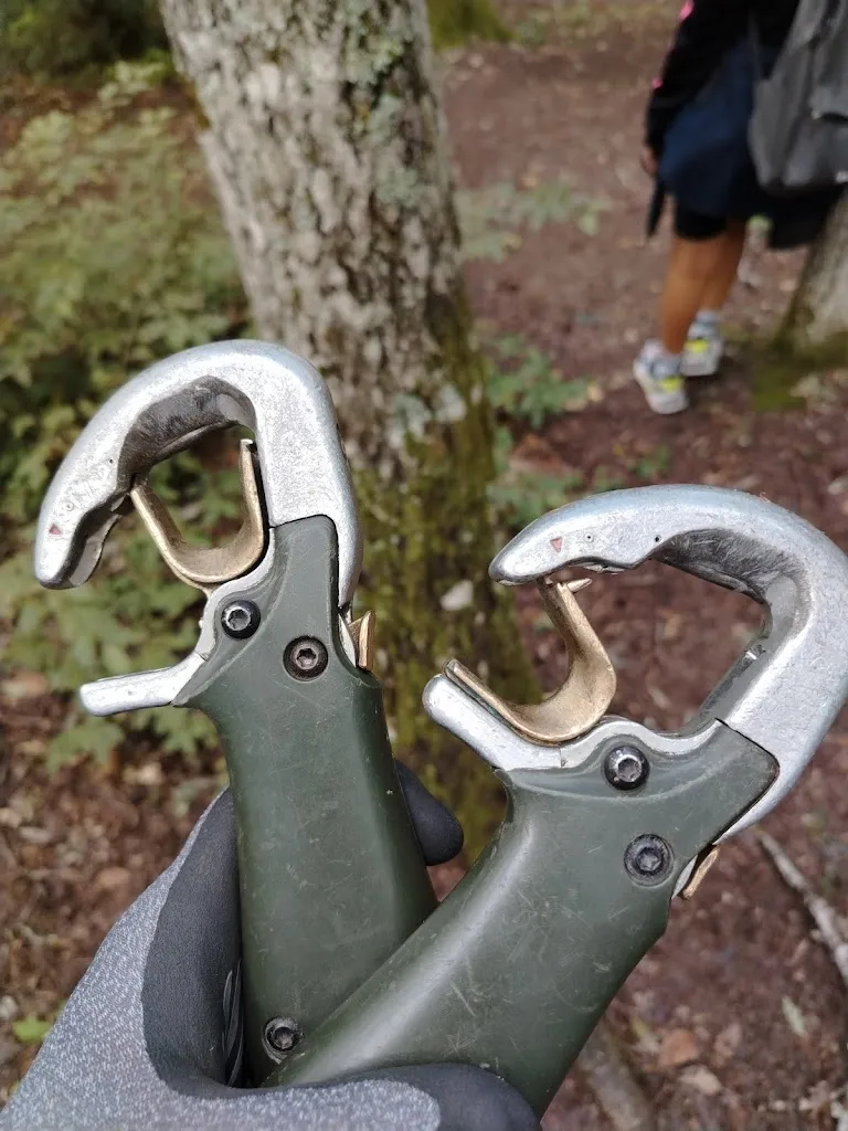 Enrico De Carolis_Carpegna Park - Family Adventure Mountain_Carpegna_review