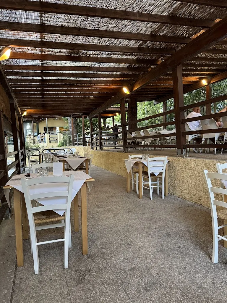 maria cristina montevecchi_Giardini di Planio_Castelplanio_review