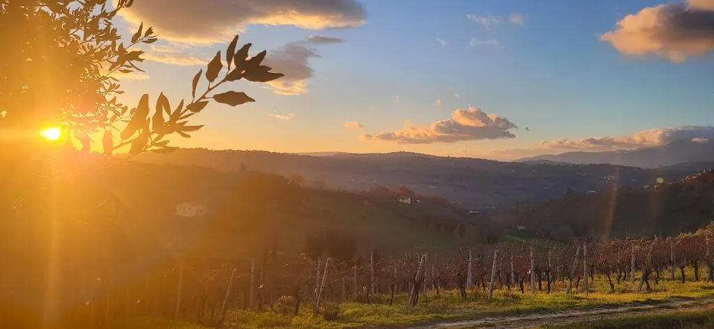 Justintravel_Agriturismo Le Piagge_Castelplanio_review