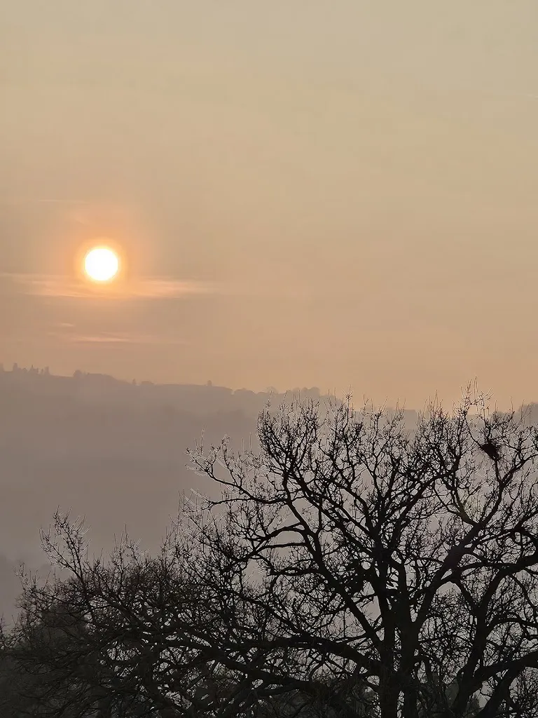 Mario Ambrosini_Bar Pizzeria Gallery Di Coppari Giuseppe E C. Snc_Castelplanio_review