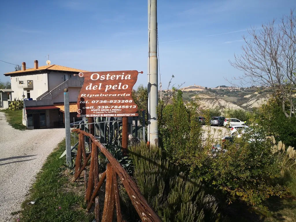 KARL HAMMER_Osteria Del Pelo_Castignano_review