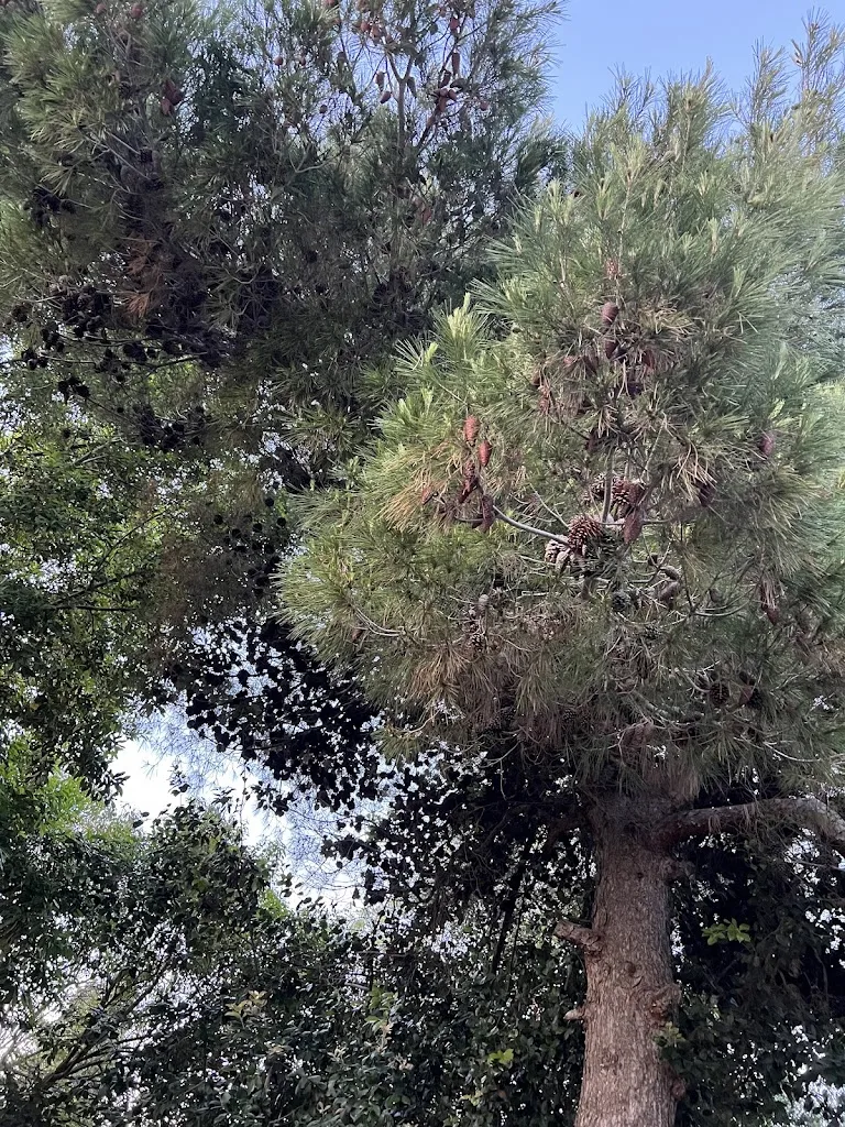 Maria Leshchinskaya_Pizzeria Parco della Contessa_Carovigno_review