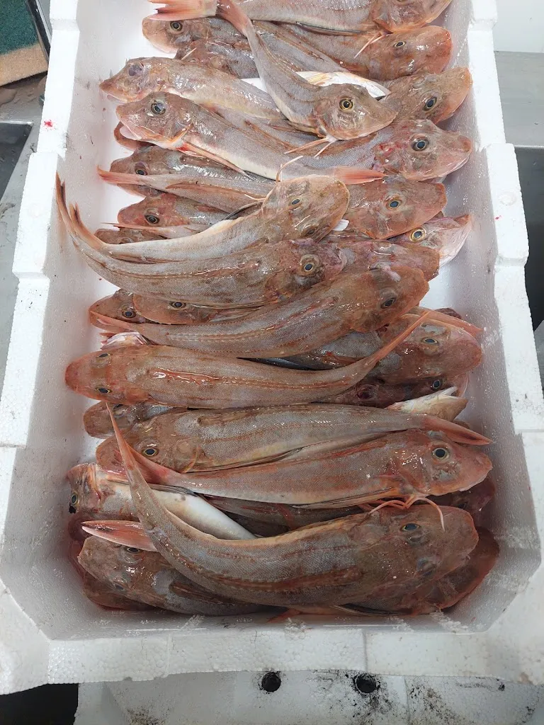 Menu_Ristorante Tiamare_Centobuchi_image_5