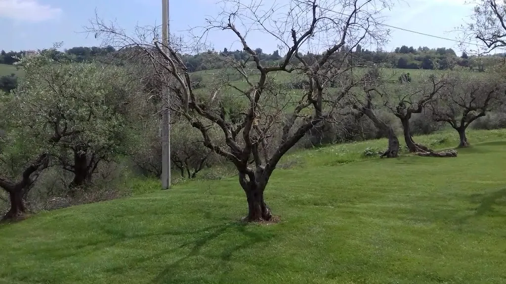 Agriturismo Terra del Vento_Colbordolo_slider_image_2