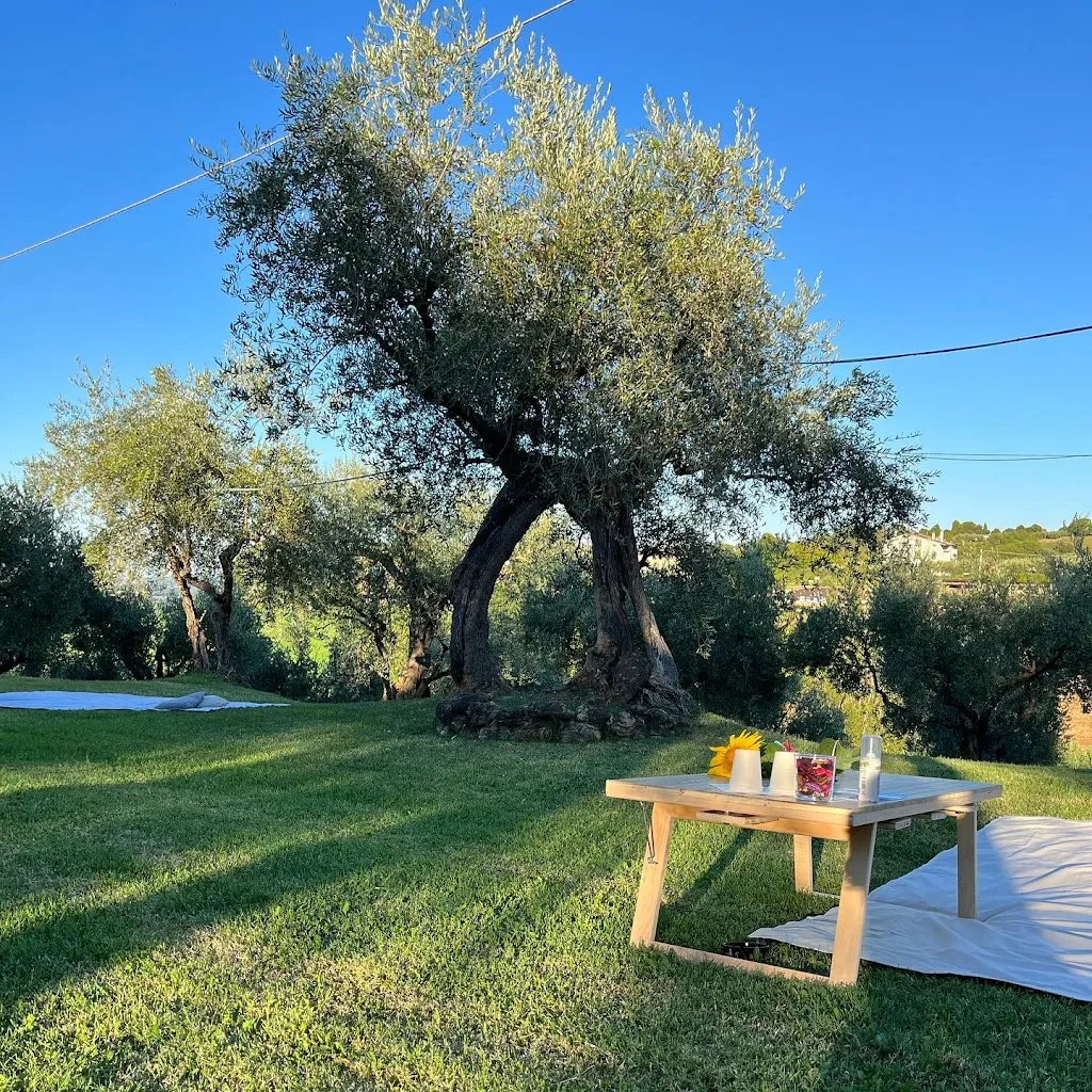 Agriturismo Terra del Vento_Colbordolo_slider_image_3