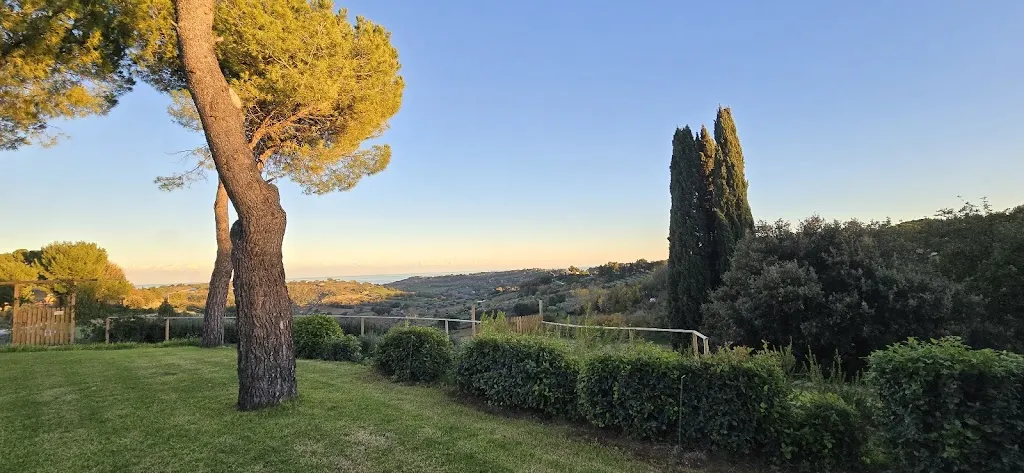 Marco Cucculelli_Agriturismo Contrada San Savino_Civitanova Alta_review