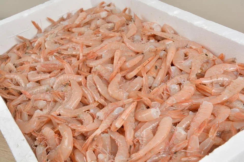 La Lampara Civitanova - Ristorante e Casa Vacanze_Civitanova Alta_slider_image_3