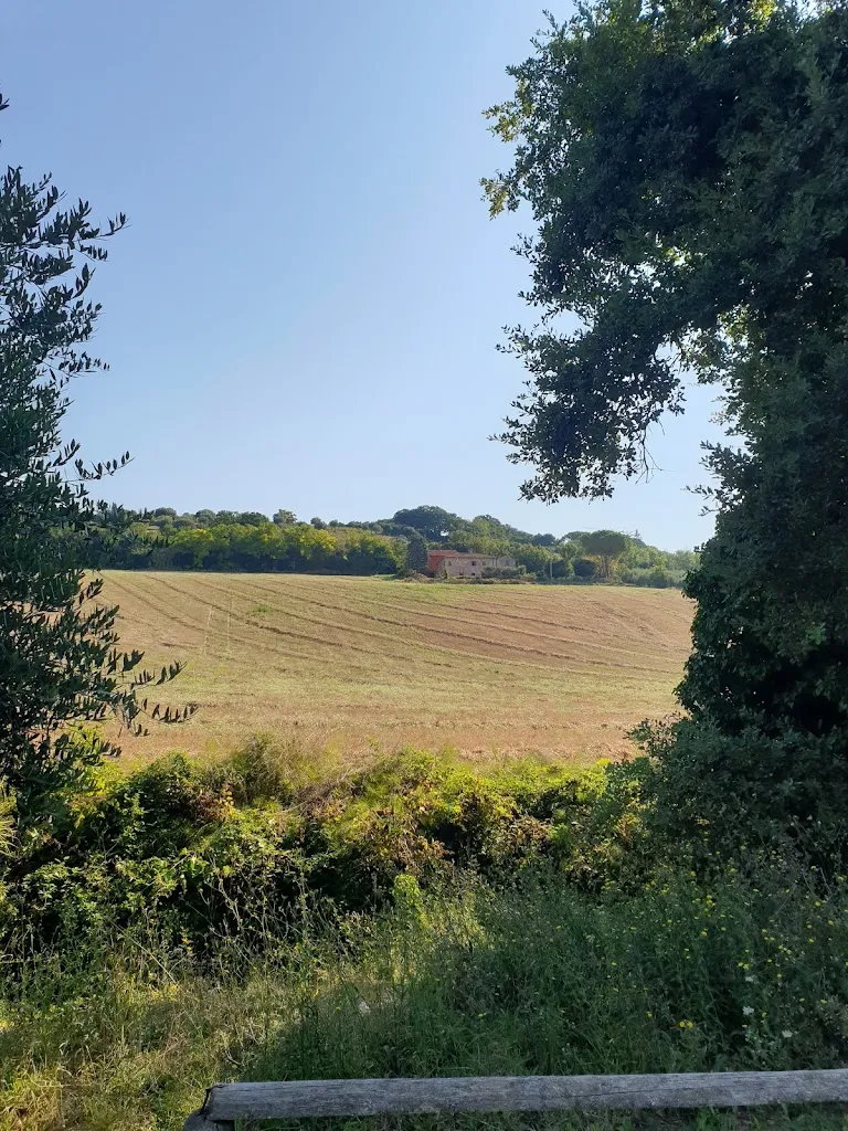 Barbara Palloni_Cinciallegra Civitanova_Civitanova Alta_recensione