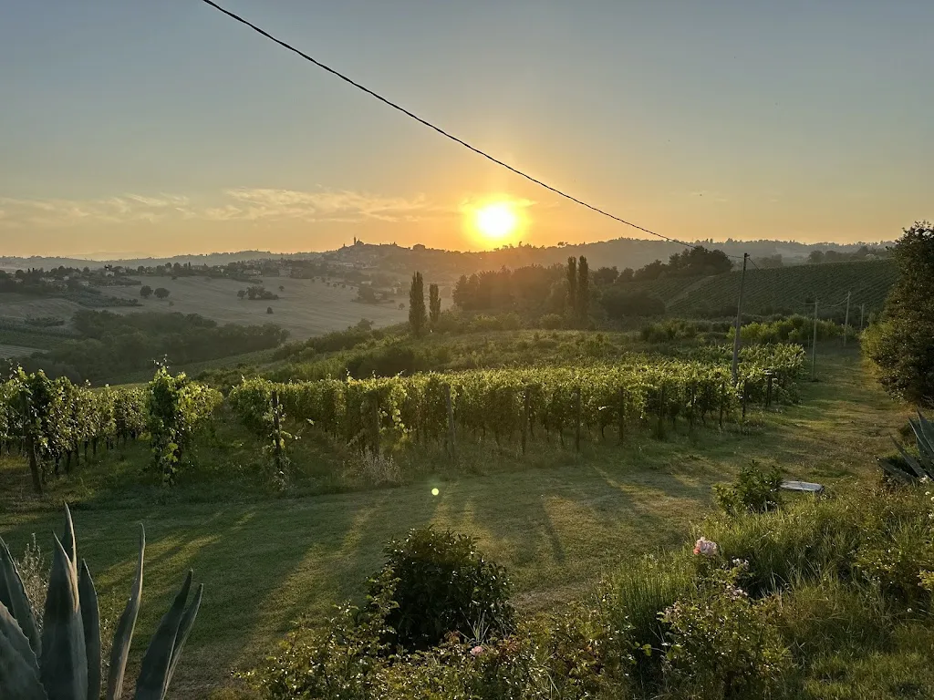 Nigel Mayhew_Ristorante Cantina Langelina_Corinaldo_review