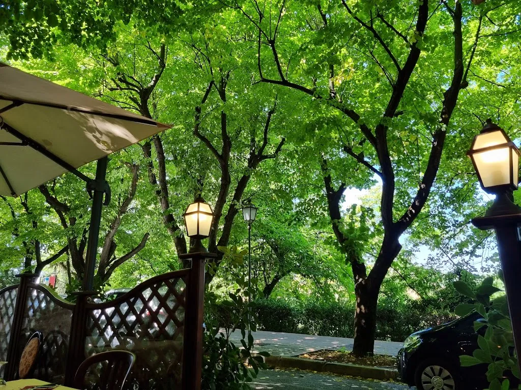 Jan Swaelens_Ai 9 Tarocchi_Corinaldo_review