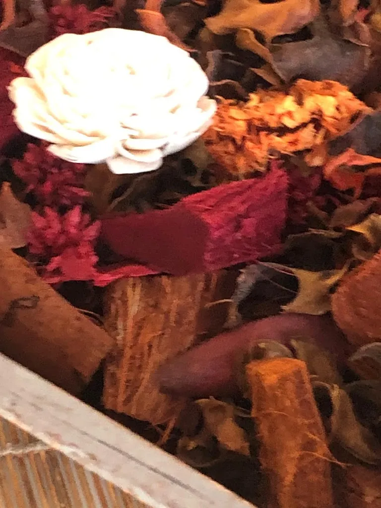 Menu_Ristorante Fontelepre_Corridonia_image_7