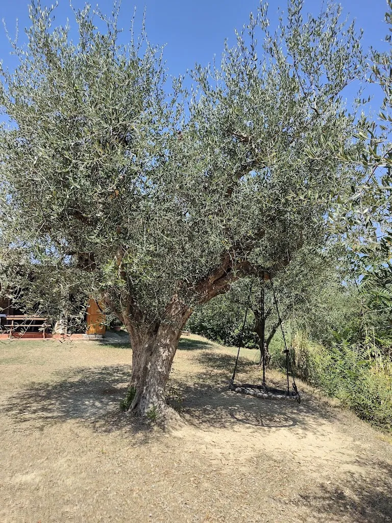 Alessandro Lavanna_Agriturismo Il Paradiso_Cuccurano_recensione