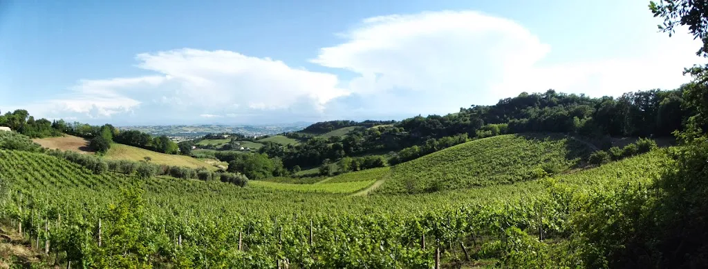 Agriturismo Il Paradiso_Cuccurano_slider_image_1