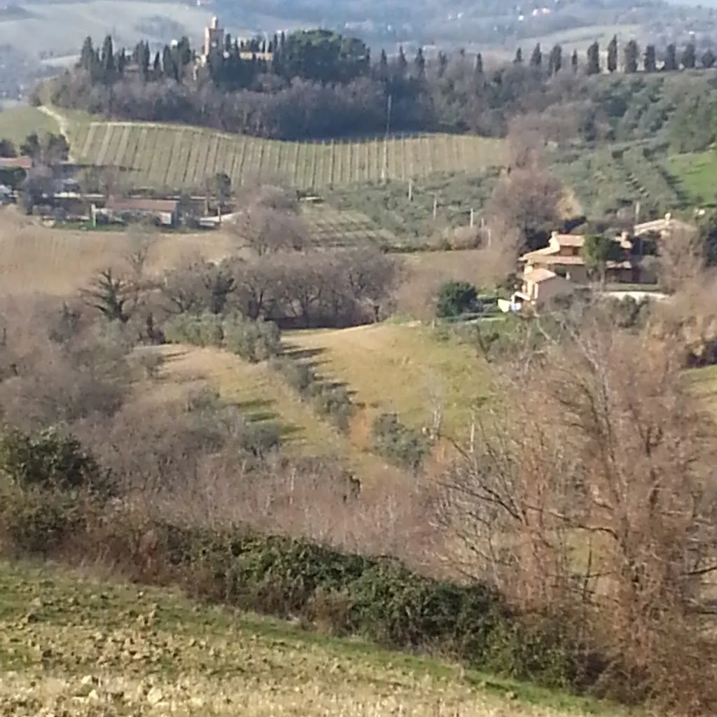 Agriturismo Il Paradiso_Cuccurano_slider_image_3