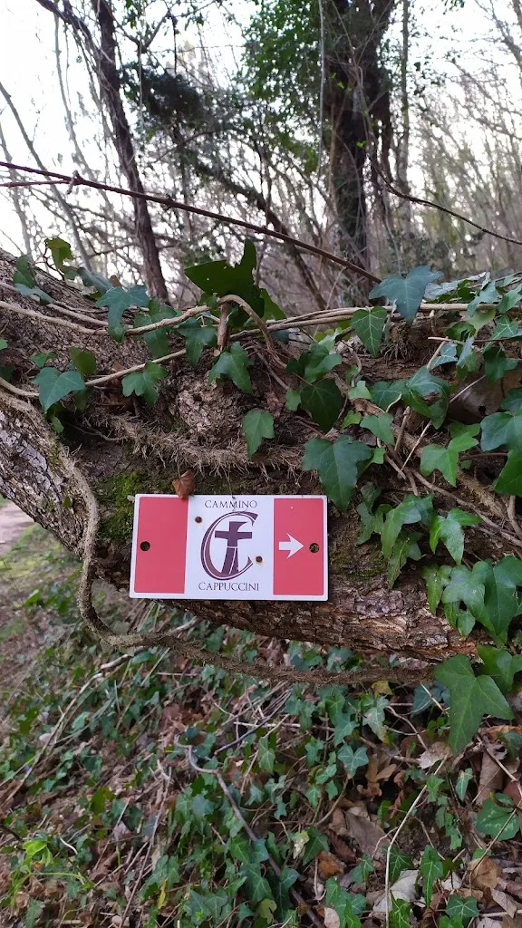 Alberto Pivotto_Sprint_Cupramontana_review