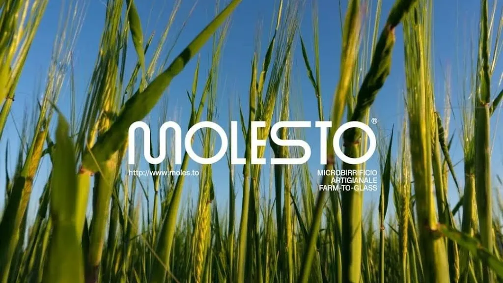 Molesto_Cupramontana_slider_image_3