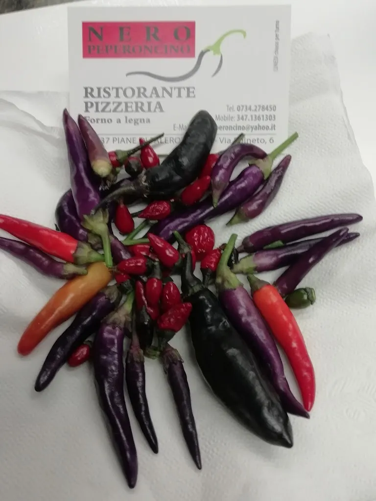 Menu_Ristorante Pizzeria Nero Peperoncino_Falerone_image_5