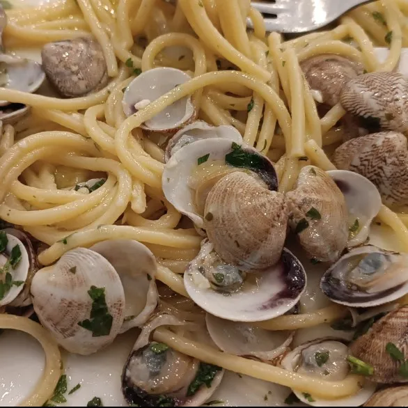 Vittorio Cortese_Chalet Sirenella_Cupra Marittima_review