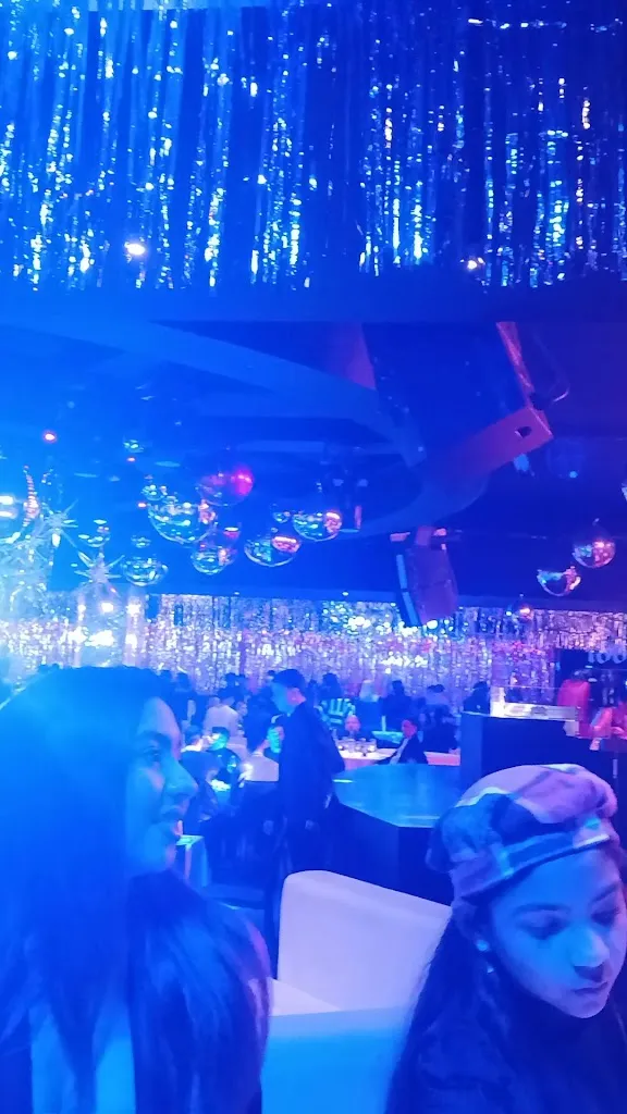 Bb Disco Dinner_Cupra Marittima_slider_image_2