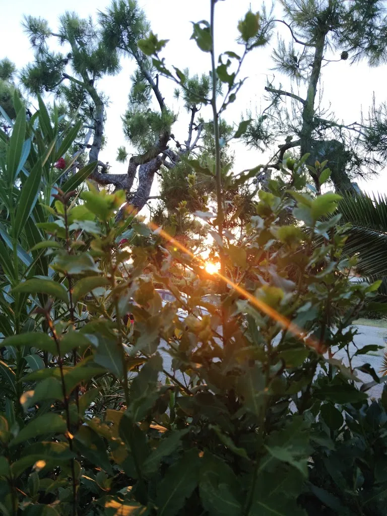 Bb Disco Dinner_Cupra Marittima_slider_image_3