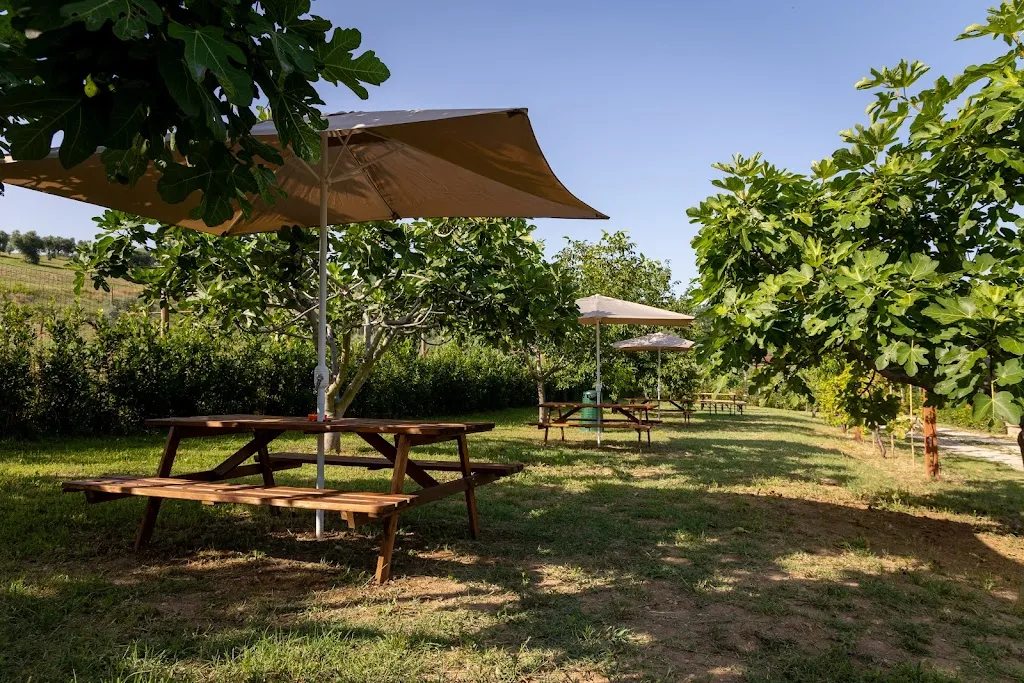 In Campagna da 'Ngara'_Cupra Marittima_slider_image_2