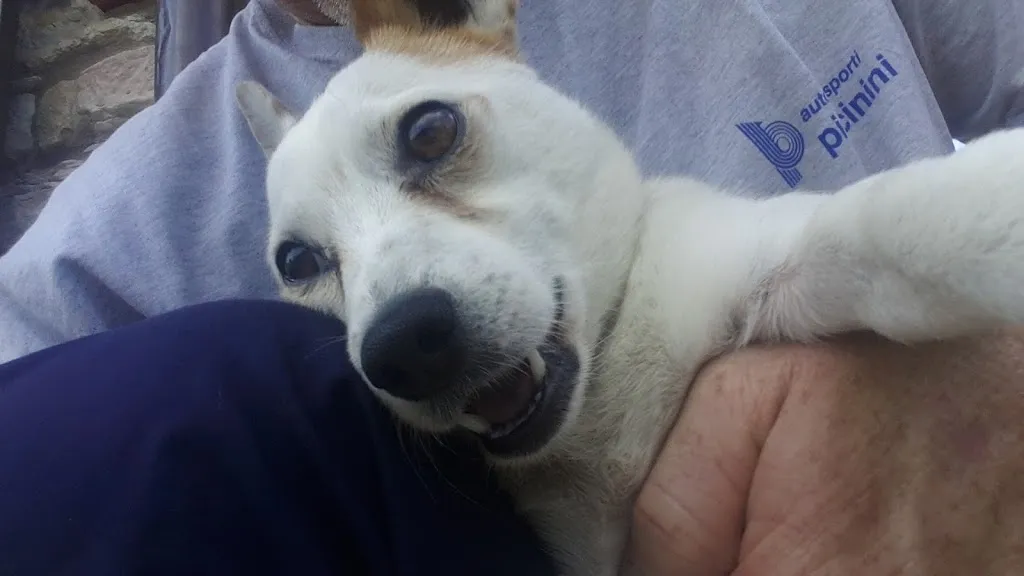 Roberto Pitalobi_Agriturismo Ca' Verdeselle_Fermignano_review