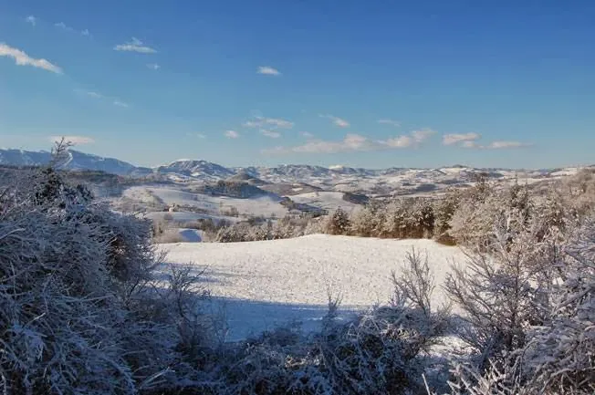 Agriturismo Ca' Verdeselle_Fermignano_slider_image_3