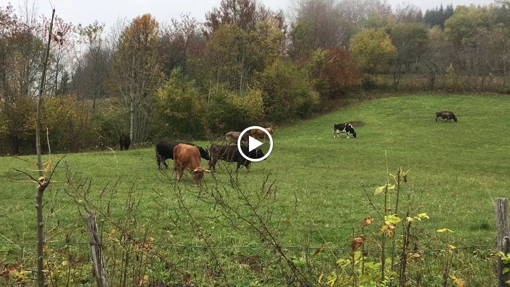 Azienda Agrituristica Il Feliceto_Fanano_slider_image_2
