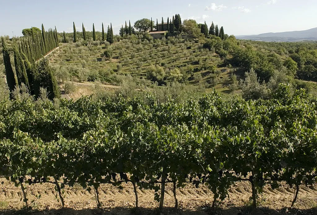 Sandro Michahelles Fotogafo_Antico Podere Gagliole_Gagliole_recensione