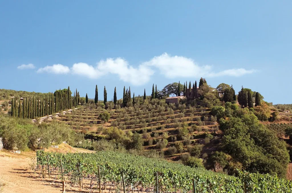 Antico Podere Gagliole restaurant in Gagliole