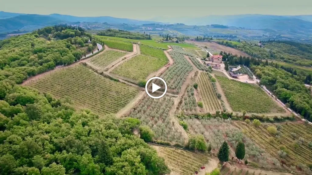 Antico Podere Gagliole_Gagliole_slider_image_2