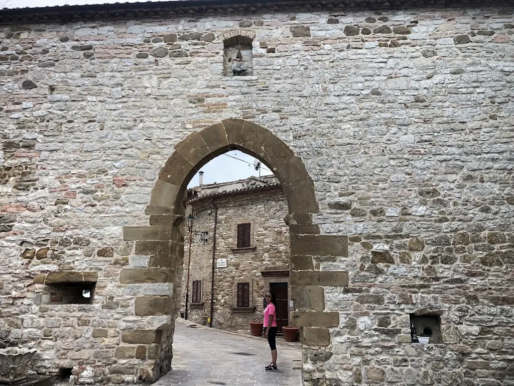 andrea matteo biolatti_Fondazione Oppelide - Museo di Storia Naturale_Gagliole_review