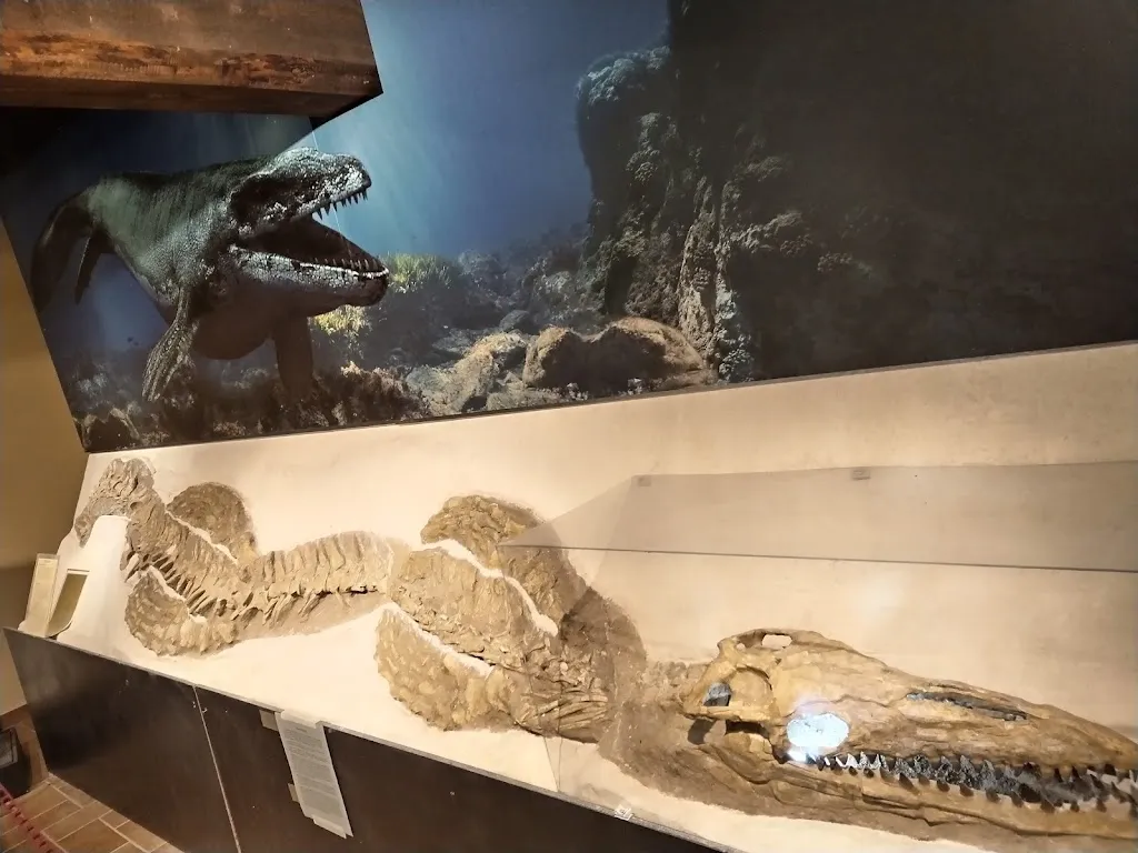 Angelina Amaya_Fondazione Oppelide - Museo di Storia Naturale_Gagliole_review