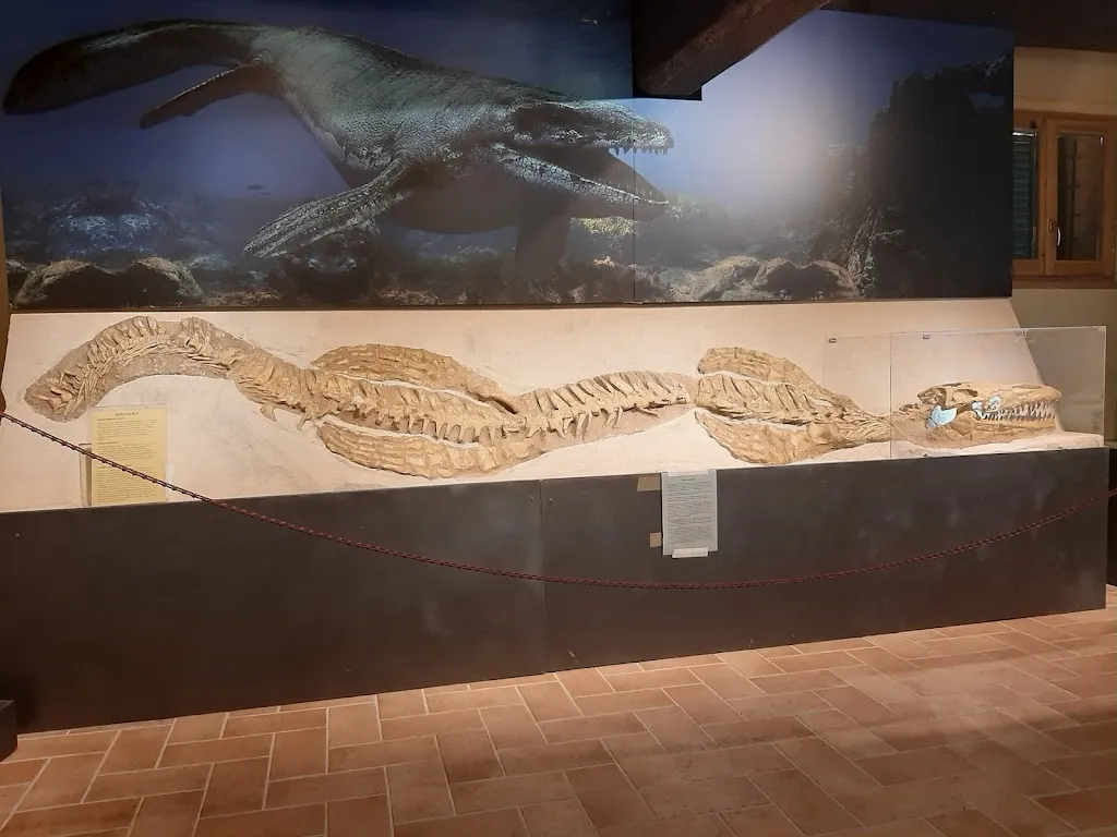 Fondazione Oppelide - Museo di Storia Naturale_Gagliole_slider_image_3