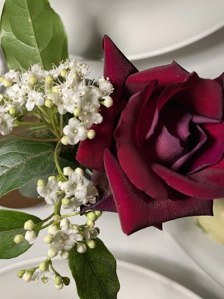 Alessandra Nardini_Locanda la Rocca_Fossombrone_review