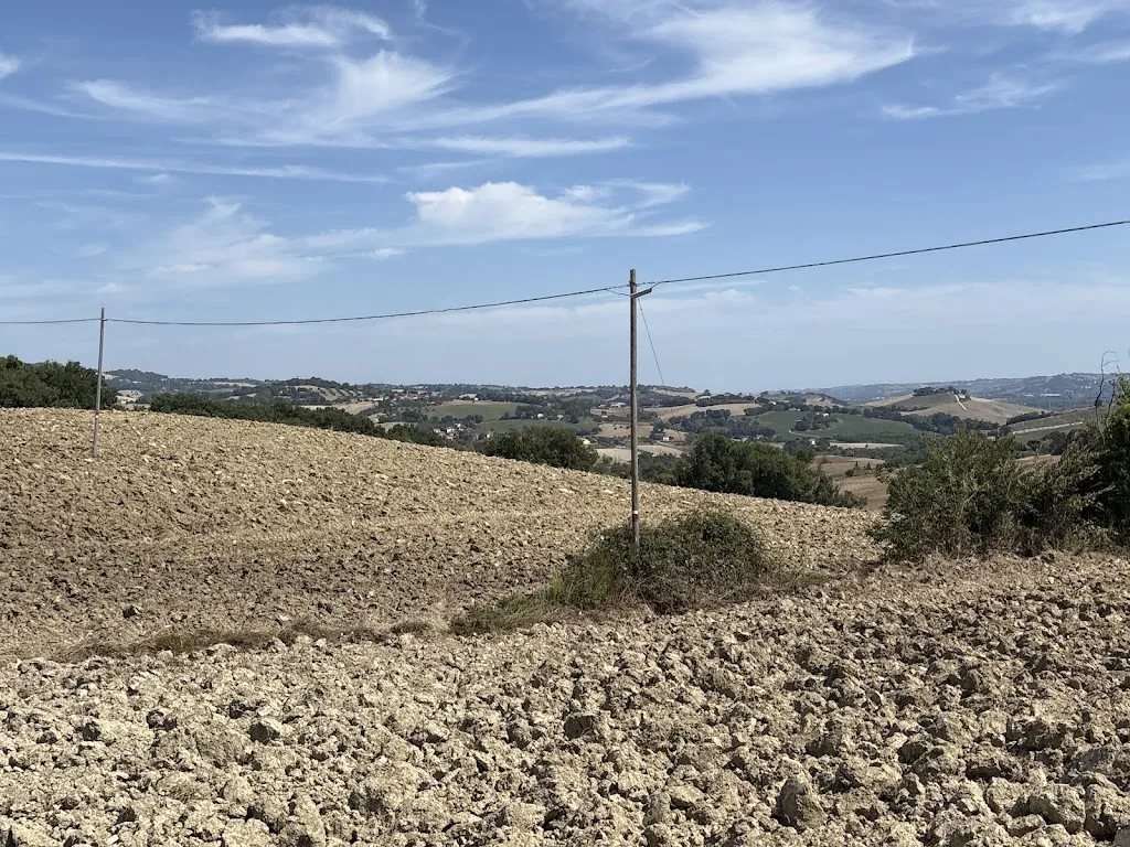 Jan Joosten_Ristorante Pizzeria da Pitrok_Fossombrone_review