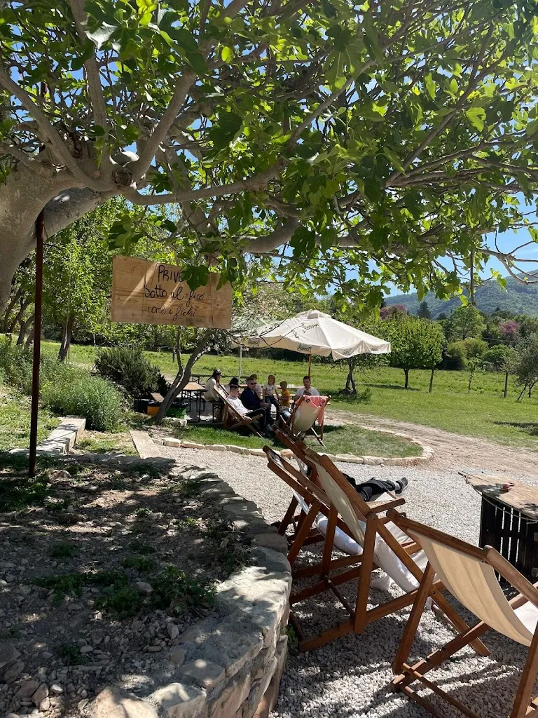 Bartulín_Fossombrone_slider_image_1