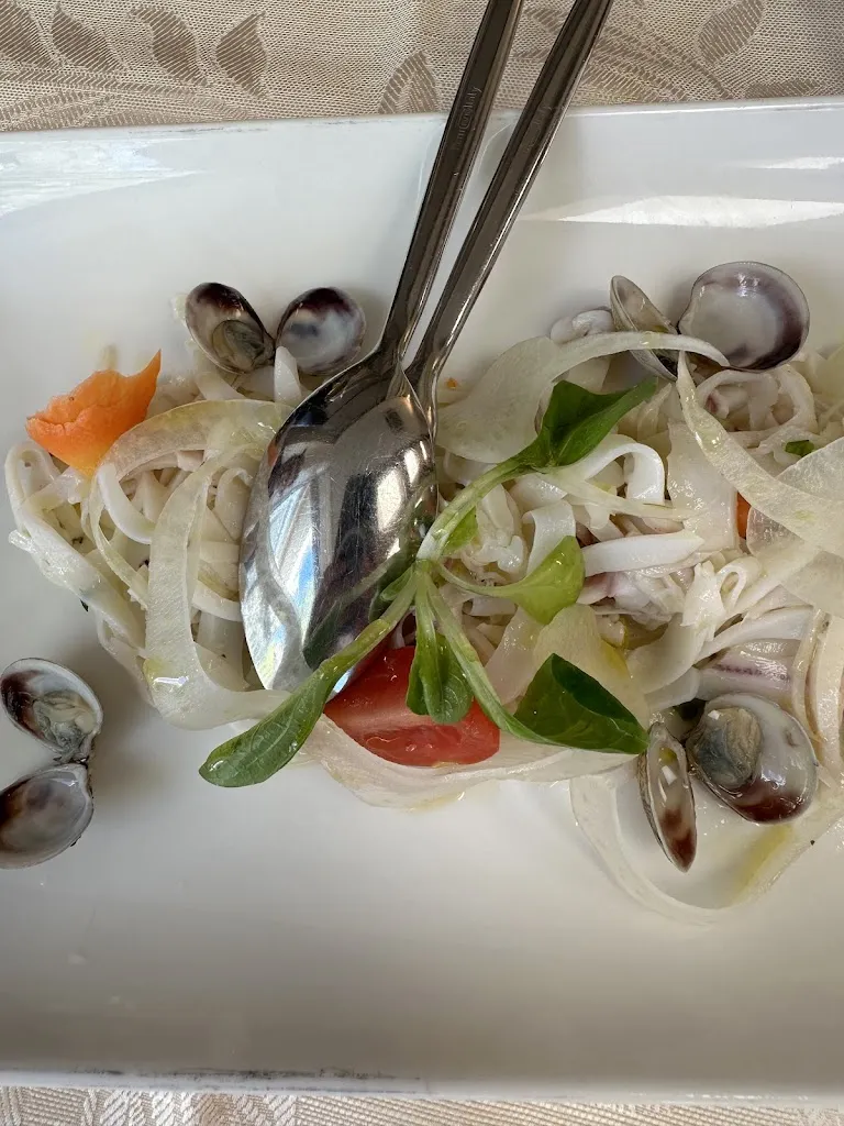 Martha Schut_Palmino_Grottammare_review