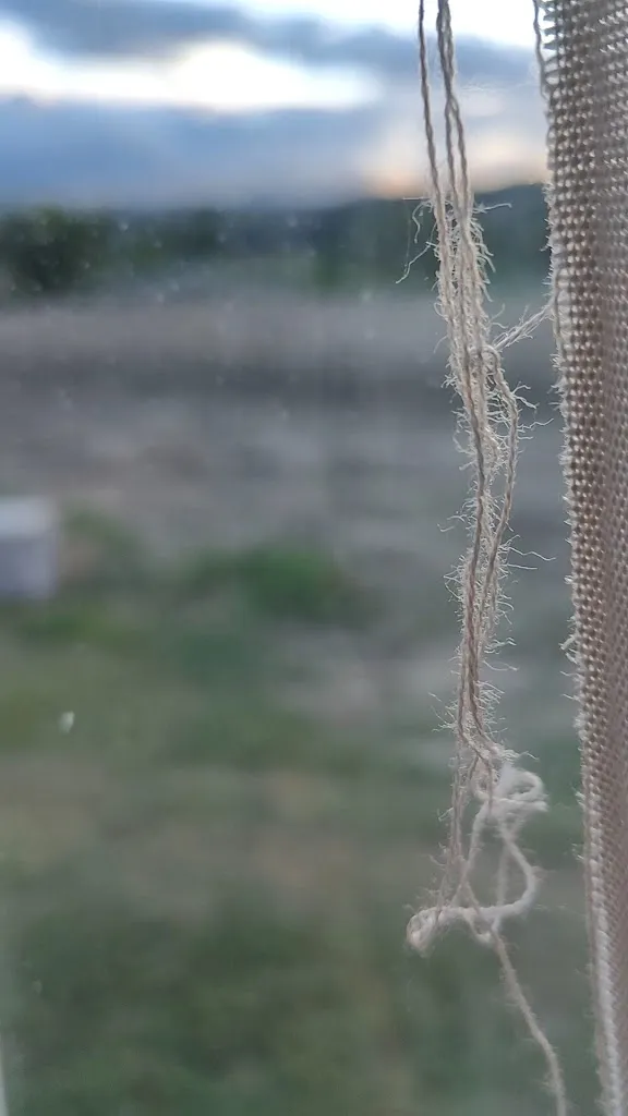 Daniel San_Soc Agr For Belvedere_Grottazzolina_review