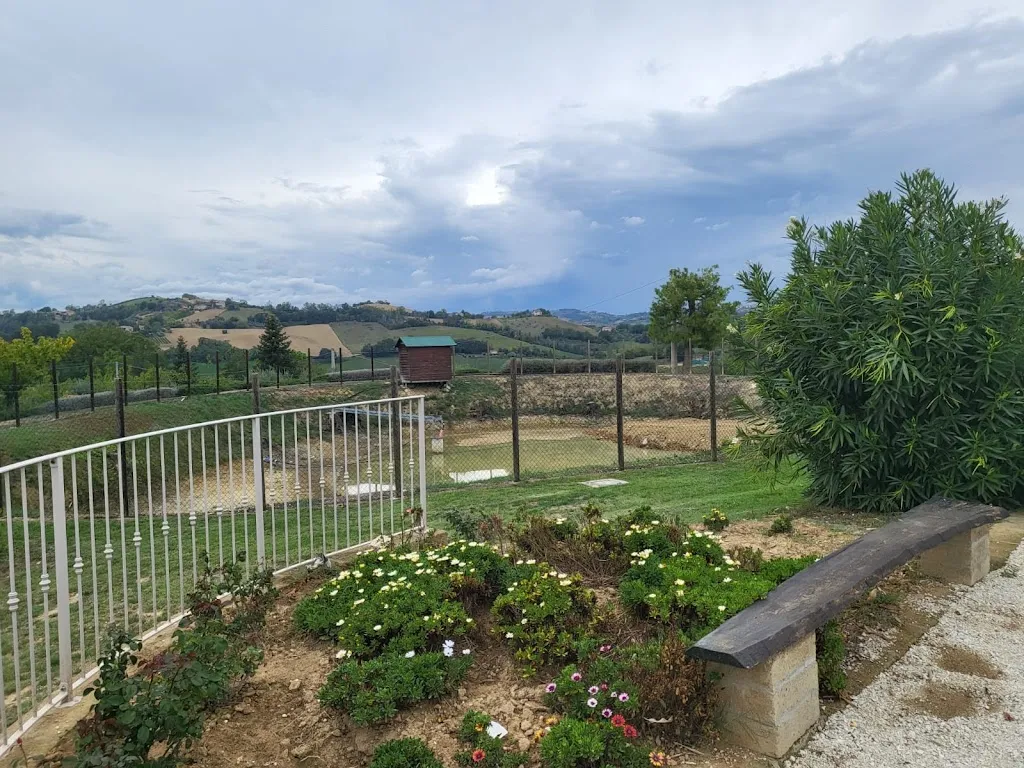 Francesco Levantesi_Soc Agr For Belvedere_Grottazzolina_review