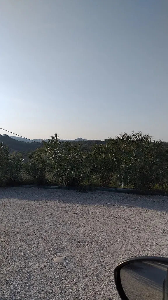 Laura Roga_Soc Agr For Belvedere_Grottazzolina_review