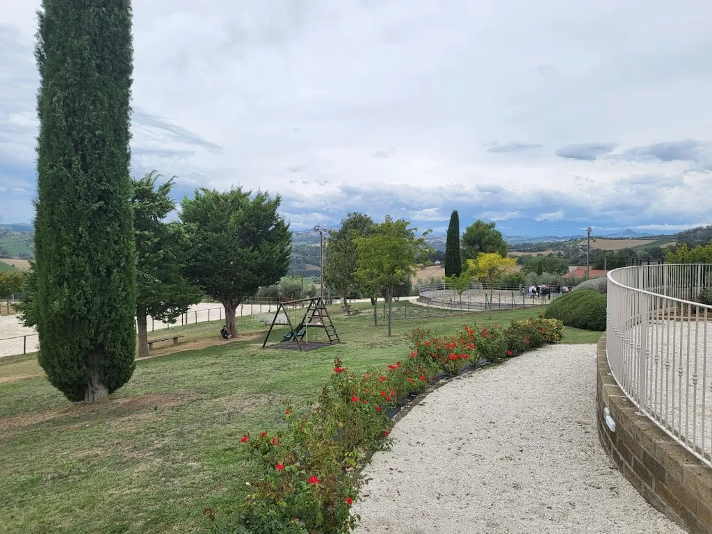 Soc Agr For Belvedere_Grottazzolina_slider_image_2