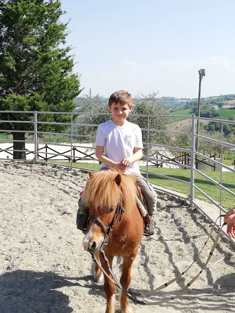 Soc Agr For Belvedere_Grottazzolina_slider_image_3