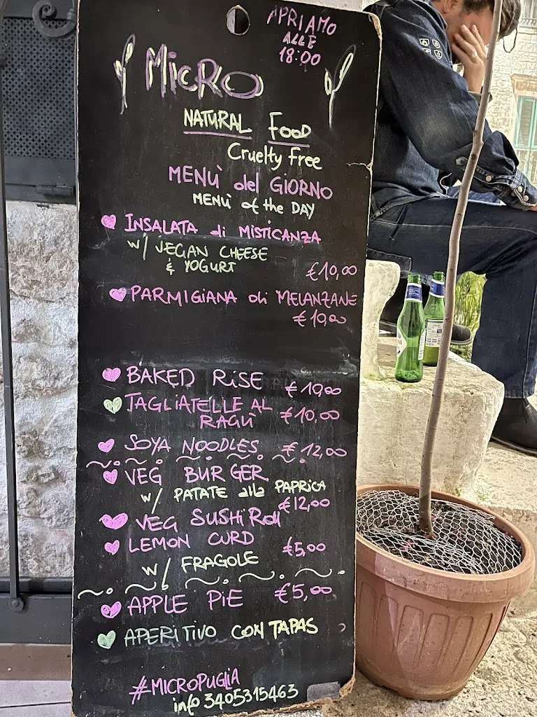 Menu_Micro_Casalini_image_2