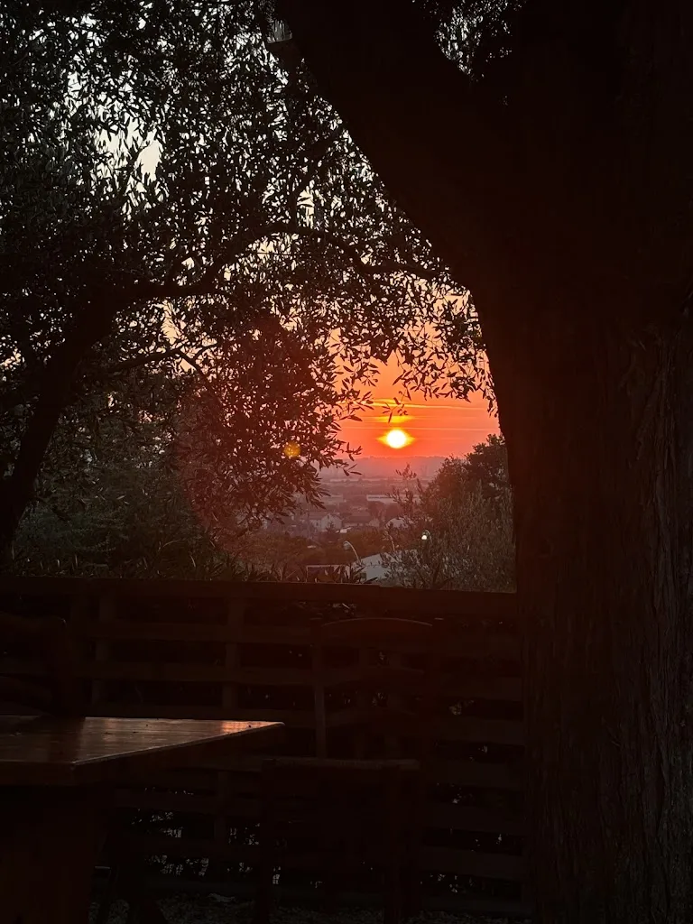 Vincenza Vilardo_Ristorante Pizzeria Braceria La Nuova Gradarina_Gradara_review